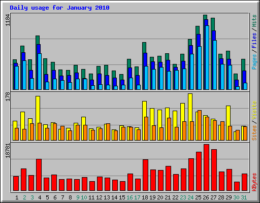 Daily usage for January 2010