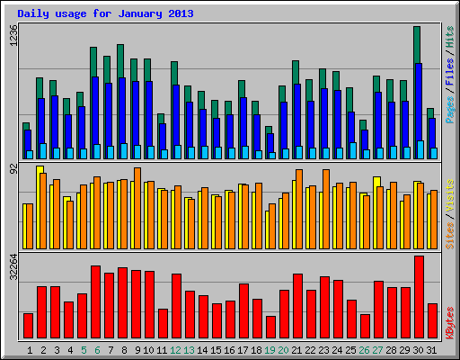 Daily usage for January 2013