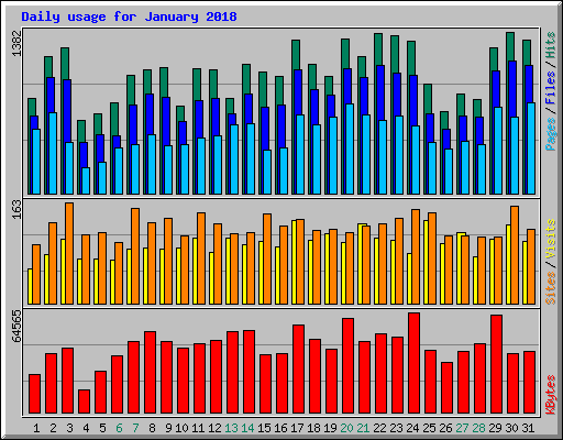 Daily usage for January 2018
