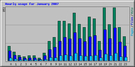 Hourly usage for January 2007