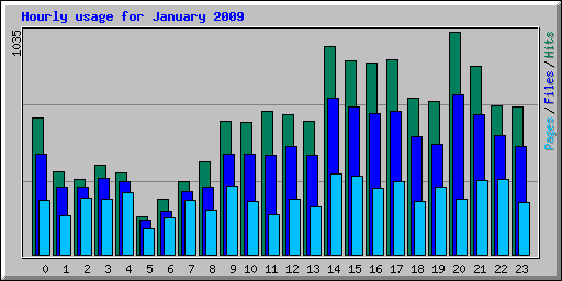 Hourly usage for January 2009