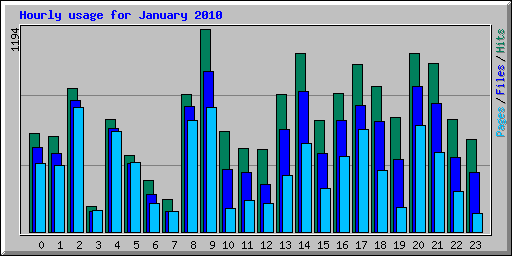 Hourly usage for January 2010