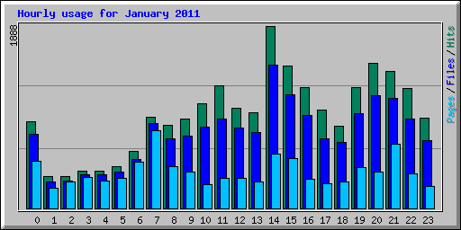 Hourly usage for January 2011