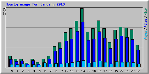 Hourly usage for January 2013