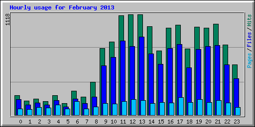 Hourly usage for February 2013