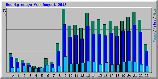 Hourly usage for August 2013