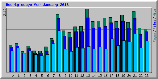 Hourly usage for January 2016