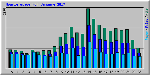 Hourly usage for January 2017
