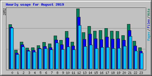 Hourly usage for August 2019